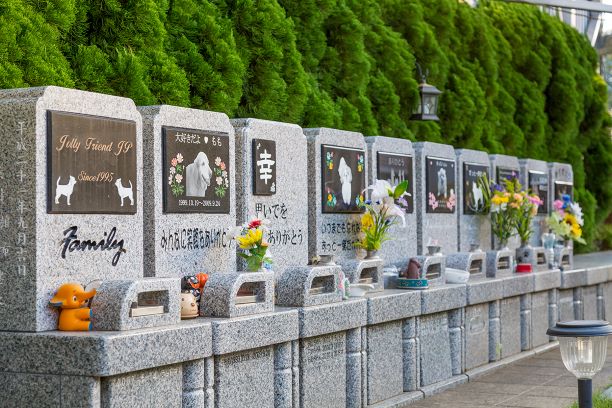 ペットエンジェルゲイト埼玉川口（川口ペットの郷） | 「評判のいい