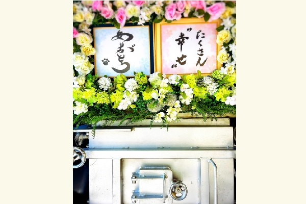  image2