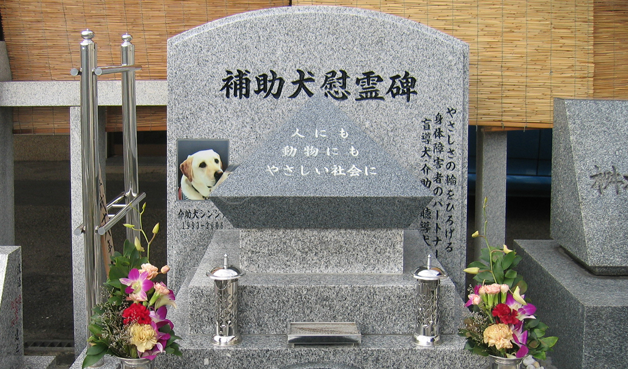 6 %e6%85%b0%e9%9c%8a%e7%a2%91