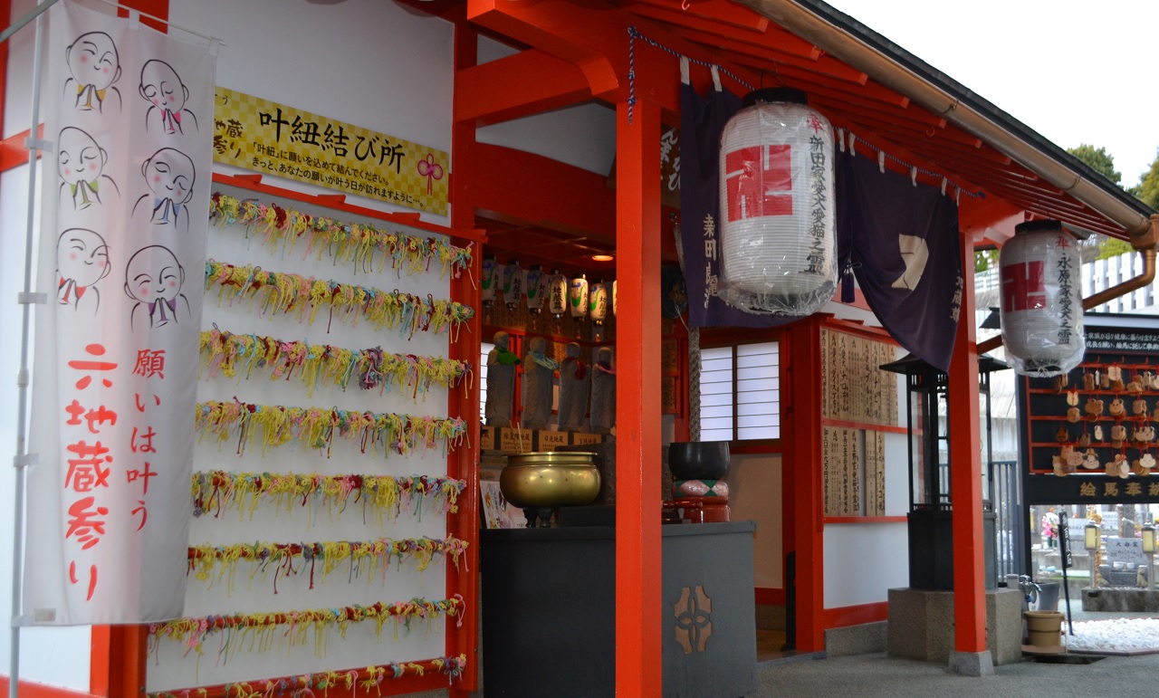 7 %e8%8a%b1%e5%9c%b0%e8%94%b5%e5%b0%8a