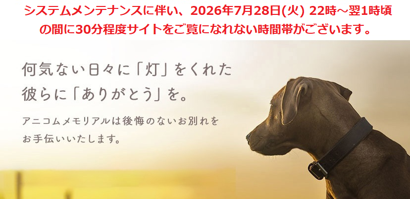 Sp 0728